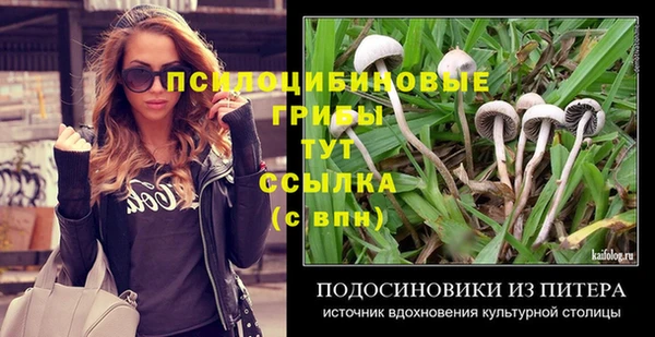дурь Верхний Тагил