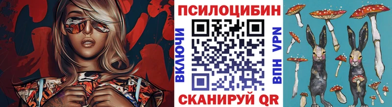 Псилоцибиновые грибы мицелий  Чехов 
