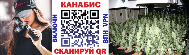 блэк спрут вход  Чехов  Шишки марихуана индика  где можно купить наркотик 